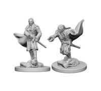 D&D Nolzur's Marvelous Miniatures - Vampires (72565)