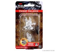 D&D Nolzur's Marvelous Unpainted Miniatures (W5) Dwarf Male Paladin