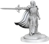 D&D NOLZURS MARVELOUS UNPAINTED MINIATURES (W20) DEATH KNIGHTS