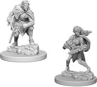 D&D NOLZURS MARVELOUS UNPAINTED MINIATURES W5 DROW