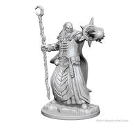 NECA Accessories Dungeons & Dragons WZK72618 Wiz Kids LLC Human Male Wizard