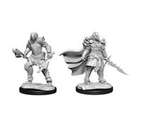 D&D Nolzur's Marvelous Miniatures: Dragonborn Fighter Female