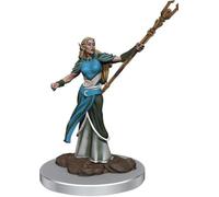 D&D Premium Painted Figures Elf Sorcerer Female