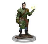 D&D Premium Painted Figures Half-Elf Bard Male