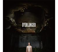 D Erlanger - A Fabulous Thing in Rose