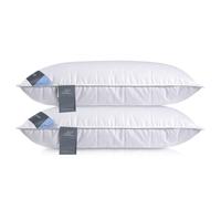 D & G THE DUCK AND GOOSE CO Natural Feather & Down Pillow - Luxury Sleeping Pillow with Downproof Dual-Layer Cover, Medium-Soft Density Support for Back & Side Sleepers (Pack of 2, 19x29 inches)