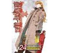 D.Gray-man, Vol. 24: (D.Gray-Man 24)