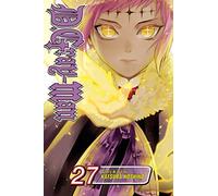 D.Gray-man, Vol. 27: (D.Gray-Man 27)