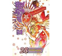D.Gray-man, Vol. 28: (D.Gray-Man 28)