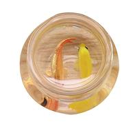 D-GROEE Mini House Miniature Fish Tank Mini Fish Bowl Small Glass Goldfish Bowl for 1:12 Miniature Aquarium Ornament Round