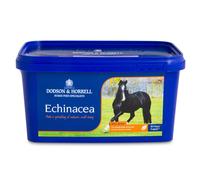 D & H Echinacea