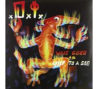 D.I. - What Good Is Grief To A God? [VINYL]