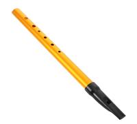 D Key Irish Whistle 6-hole Tin Flute for Beginner Students | Golden Aluminium Alloy, Recorder Mouthpiece Included, Cloth Bag for Learning Irish Music on Go