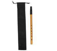 D Key Tin Whistle Black Metal Practice Wind Instrument