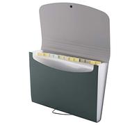 D.RECT Filing Cabinet Document Holder | Expandable Briefcase | Document Sorter | A4 Document Sorter Accordion Binder | 12 compartments A4 | Perfect for Office or Home | Green