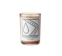 D.S. & Durga Big Sur After Rain Candle - 7 oz