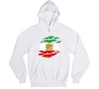 D&T Iranian Persian Lion Iran Unisex Hoodie Persian Pride Symbol Iranian Heritage Apparel Jumper