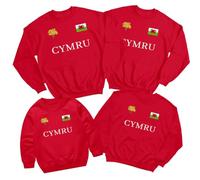 D&T Welsh Cymru Flag Badge Daffodils Family Saint Davids Day Sweatshirt St David Pride Childrens Kids Shirt Prince of Wales Jumper Boys Girls Rugby #STDD 9-11 Years Red