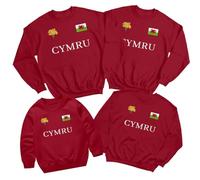 D&T Welsh Cymru Flag Badge Daffodils Family Saint Davids Day Sweatshirt St David Pride Childrens Kids Shirt Prince of Wales Jumper Boys Girls Rugby #STDD 9-11 Years Antique Cherry Red