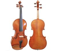 D Z Strad Model 220 Violin with Dominant strings, bow, case, rosin and shoulder rest - Open Clear Tone (4/4 - Size)