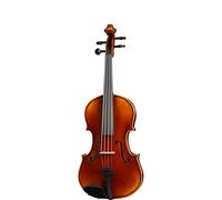 D Z Strad Violin LC101 with case, shoulder rest, bow, and rosin (3/4 - Size) (3/4 - Size)
