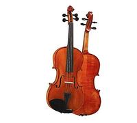 D Z Strad Violin Model 101 Handmade Violin with Case, Bow, Shoulder Rest, and Rosin (1/8 - Size)