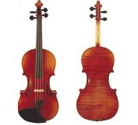 D Z Strad Violin Model 101 with Solid Wood with Case, Bow, Shoulder Rest, and Rosin (1/4 - Size)