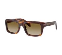 Prada PR D11S 15W20U Man Sunglasses Acetate Turtle Brown Squared Normal Nuanced