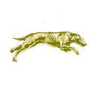 D19 Greyhound dog GOLD CHROME FINISH English Pewter pin badge with butterfly clasp clip