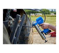 D20 20V Grease Gun Kit 1 X 2.0Ah Battery 1 X Charger (3 Piece) kit 1 03359