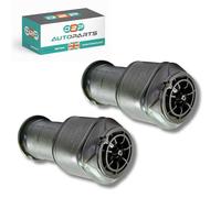 D2P 2x Rear Air Suspension Spring Bag | For Citroën C4 | OEM Quality Replacement 5102GN, 5102R8