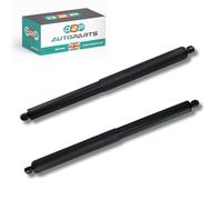 D2P 2x Tailgate Lift Support/Gas Struts | For BMW X5 E70 [2006-2013] | OEM Quality Replacement 51247294199, 51247177283
