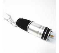 D2P Air Suspension Shock Strut Replacement For Front Compatible With 2015 - 2021 Tesla Model Replaces 106736100C