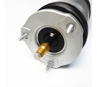 D2P Air Suspension Shock Strut Replacement For Front Left Compatible With 2019 - 2022 Tesla Model X 5YJX, S 5YJS Replaces 102706100C