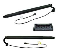 D2P Spindle Drive/gas Strut Spring Replacement Rear Left Compatible With 2014 - 2019 Bmw X6 F16 F86 Replaces 51247318651