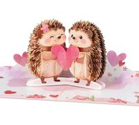 D4DREAM Pop Up Valentines Day Card - Romantic 3D Hedgehog Valentine Pop Up Card for Wife, Husband, Girlfriend, Boyfriend Handcrafted Valentine's Day Anniversary with Envelope & Note