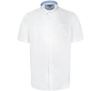 D555 Men's James Oxford Kingsize Short-Sleeved Shirt in White | Size: 3XL D555 White 3XL
