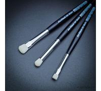 da Vinci Dry Brush Set - Series 4179 | Synthetic Brushes for Textures & Effects