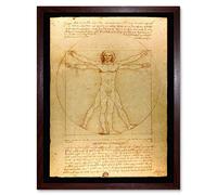 Da Vinci Vitruvian Man Human Proportions 1490 Diagram Art Print Framed Poster Wall Decor 12x16 inch