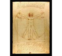 Da Vinci Vitruvian Man Human Proportions 1490 Diagram Premium Wall Art Canvas Print 18X24 Inch