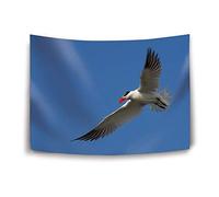 Daawqee Tapestry Wall Hanging Tapestries Seagull Sky Flight Tapestry Wall Blanket Wall Decor Wall Art Home Decor Collage Dorm Decoration