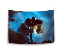 Daawqee Tapestry Wall Hanging Tapestries Tree Night Sunset Sky Tapestry Wall Blanket Wall Decor Wall Art Home Decor Collage Dorm Decoration
