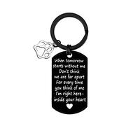 Dabihu Pet Memorial Gifts Loss Of Pet Keyring Dog Cat Sympathy Gifts for Men Women When Tomorrow Starts Without Me Remembrance Gift Keychain for Pet Lover Sympathy Keyring Memorial Gift for Pet Lover