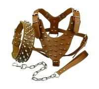 DaBingDian 3pcs Set Dogs Kingdom Spiked Studded Dog Harness Collar Chain Walking Training Adjustable Leather Dog Pet Collar Harness Leash