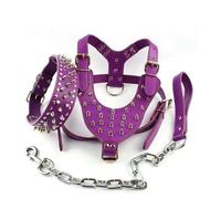DaBingDian 3pcs Set Dogs Kingdom Spiked Studded Dog Harness Collar Chain Walking Training Adjustable Leather Dog Pet Collar Harness Leash