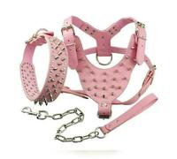 DaBingDian 3pcs Set Dogs Kingdom Spiked Studded Dog Harness Collar Chain Walking Training Adjustable Leather Dog Pet Collar Harness Leash