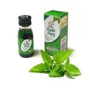 Dabur Pudin Hara Active Quick Relief from Stomach Ache Gas & Indigestion (2 * Pudin Hara Liquid 30ml)