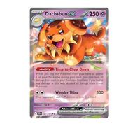 Dachsbun ex 067/142 Ultra Rare Pokemon Card | Rare Pokémon Cards | Pokémon EX | Stellar Crown | Pokemon Scarlet and Violet | Titan Cards Authenticated