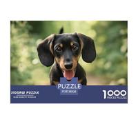 Dachshund 1000 Piece Jigsaw Puzzle Family Game Creative Jigsaw Puzzle Beautiful Decoration Puzzle for Travel Gifts,Present 38x26cm/1000pcs