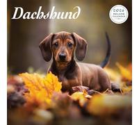 Dachshund 2026 Deluxe Calendar